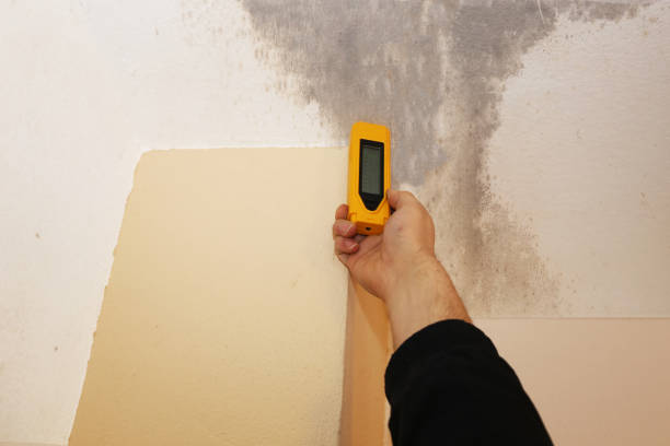 Best Emergency Mold Remediation  in Washington, IL