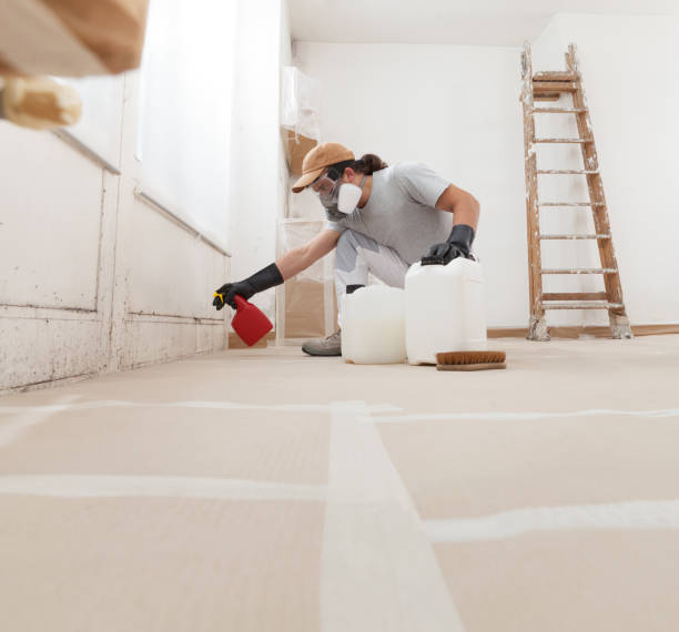 Reliable Washington, IL Mold Removal Solutions